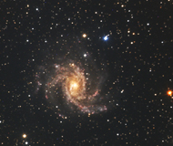 Ngc 6946 - galaxie spirale dans Céphée