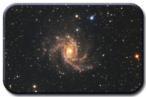 La galaxie Ngc 6946